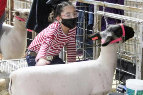 2021 Terry County Livestock Show