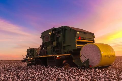 COTTON MARKETS