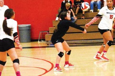 Lady Cubs, Lady Cats both find win column