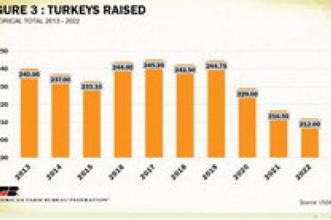 Just Ahead of Thanksgiving, Record Turkey and Egg Prices Indicate Strain on Poultry Sector