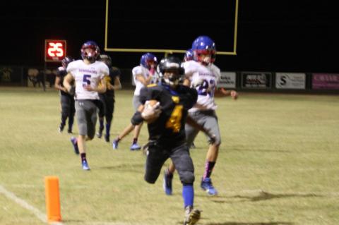 Wildcats fall to Renegades in Overtime
