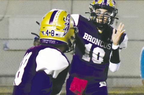 Terry County District Football Capsules
