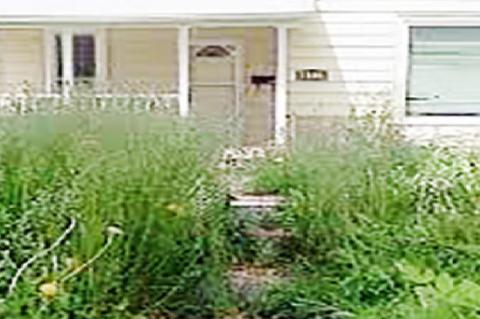 From City of Brownfield Code Enforcement