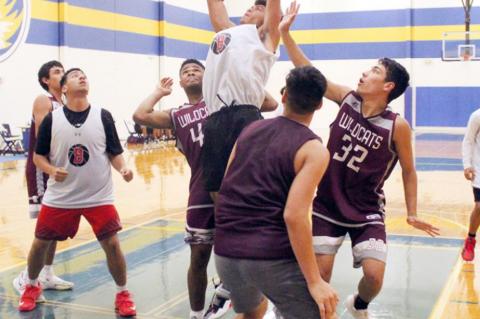 Cubs basketball earns split in second week