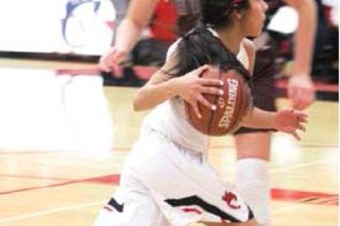 Lady Cubs 4-0 in district, Cubs fall to 1-1