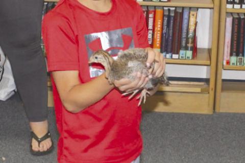 Zander Acuna holds a chick at the Library. (Photo by Lupe Perez)