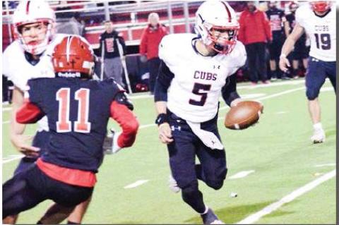 Cubs end season in Bi-District loss