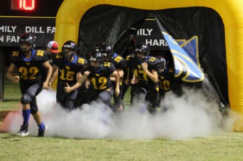 Big second quarter lifts Meadow past the Wildcats