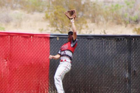 Cubs fall in extra innings to Coyotes