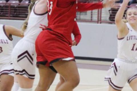 Lady Cubs earn fifth straight district win