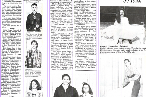 Article Image Alt Text