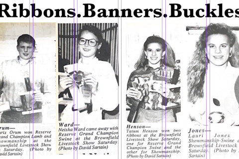Article Image Alt Text