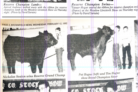 Article Image Alt Text