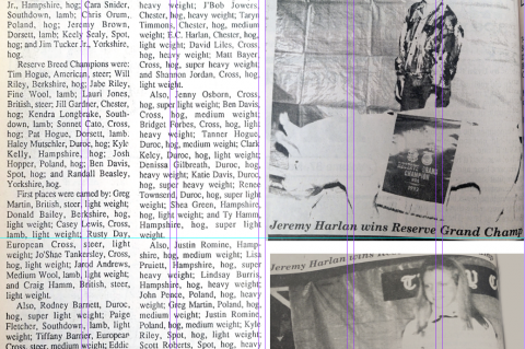Article Image Alt Text
