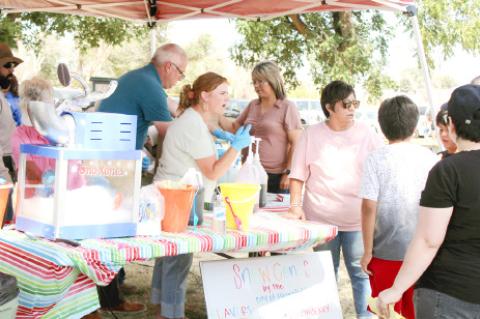 The South Plains Community Action Association