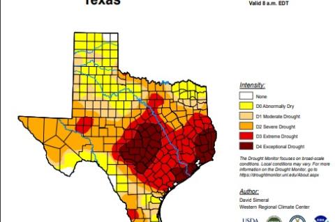 2023-2024  Winter  Weather Predictions